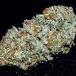 0b70a92f4583ad7cd4258c80f2a0f254