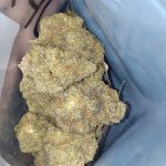 1b2d40755bc29d553191a96b3357b05d