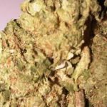 1b9170f1a99082d0e532484758c72c3a