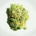 1d56957326689f8b15f15a1c94c2e133