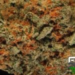 6758bee0b3e0f17e3288c3b978d90318