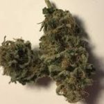 6c7fe595e12d42ccbee6f72fde518cc7