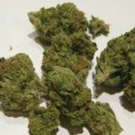 706be068a8b5e08a587e72957961cd52