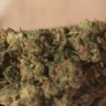 cf66ef5305ec1f91a66582ad9b253b6e