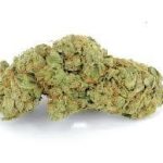 d8278248bedb073a47230c9e6b1e98cc