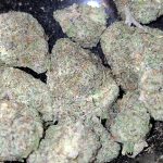 f08531b1235e6887452e73877227ca9a