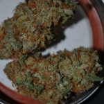 f92630d21d257cc15054c733ff608dc7