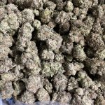 fceec3b97ee010b68c550eea0784557a